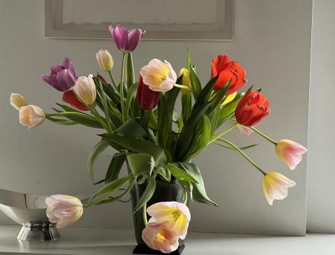 Lyrics to Tiptoe Through the Tulips | Carnegie Hill Village